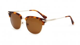 WE 3100 Tortoise Polarized